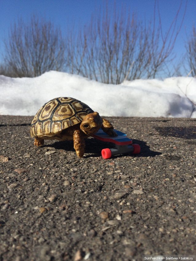 Наш черепах Биг Тейсти — Коллекционные экшн