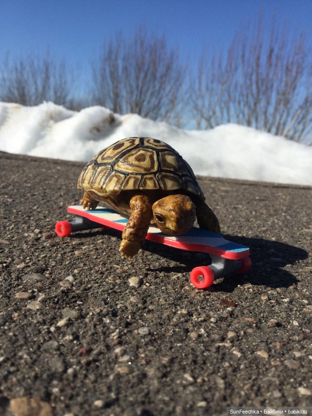 Наш черепах Биг Тейсти — Коллекционные экшн