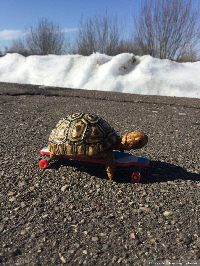 Наш черепах Биг Тейсти — Коллекционные экшн