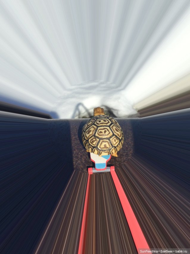 Наш черепах Биг Тейсти — Коллекционные экшн