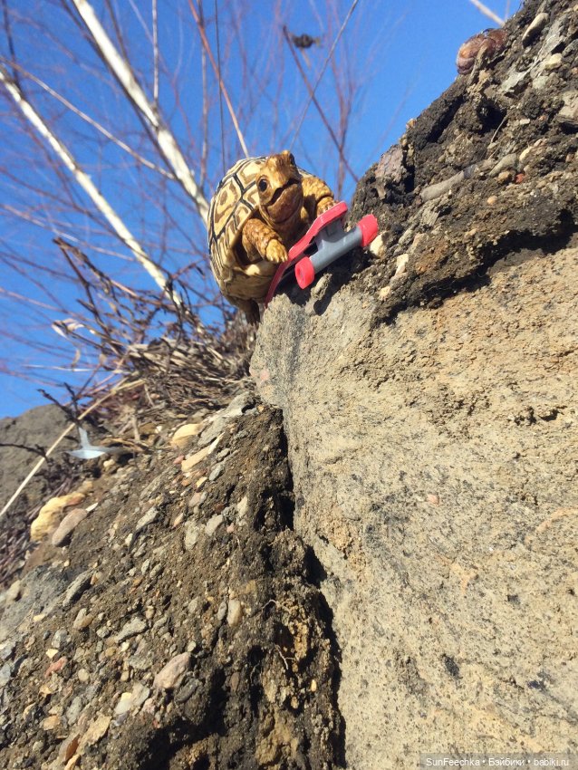 Наш черепах Биг Тейсти — Коллекционные экшн