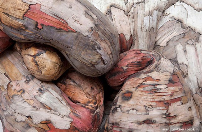 Деревянные структуры Энрике Оливейра (фото 9)