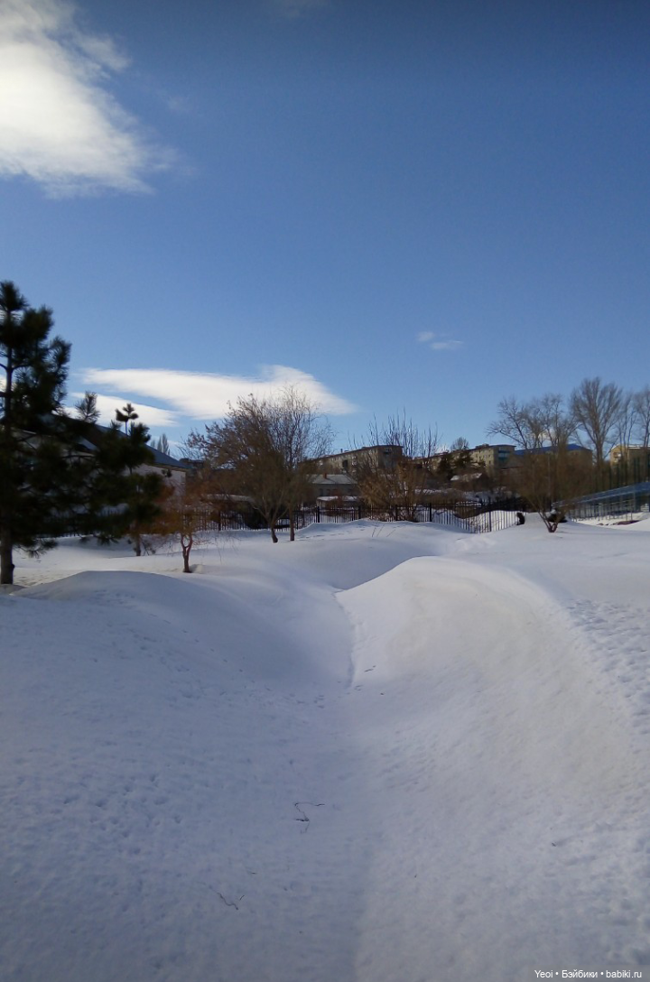 Монстер Хай, Клодин (кукла 42см) первый раз в парке (фото 3)