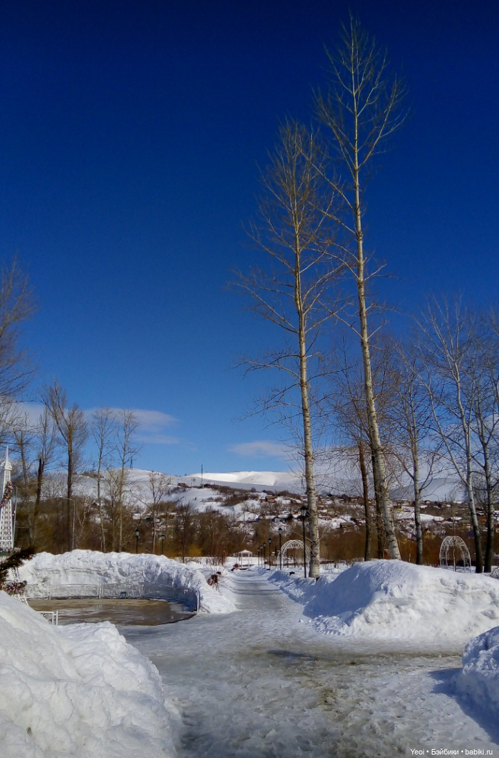 Монстер Хай, Клодин (кукла 42см) первый раз в парке (фото 7)