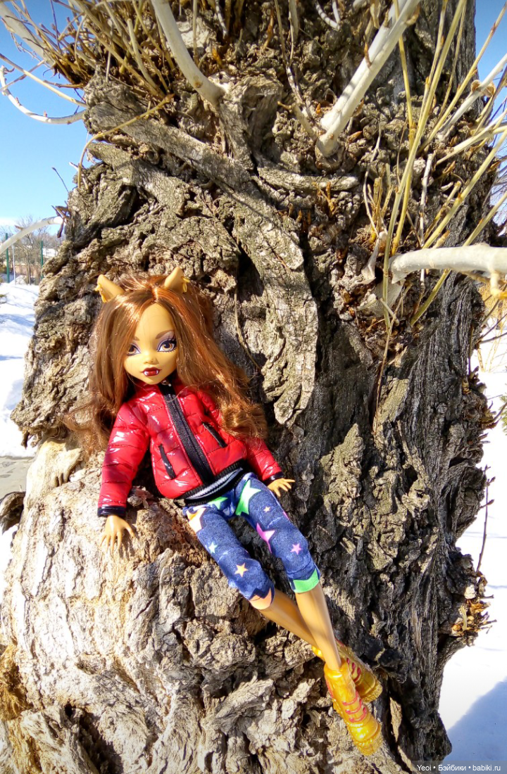 Монстер Хай, Клодин (кукла 42см) первый раз в парке