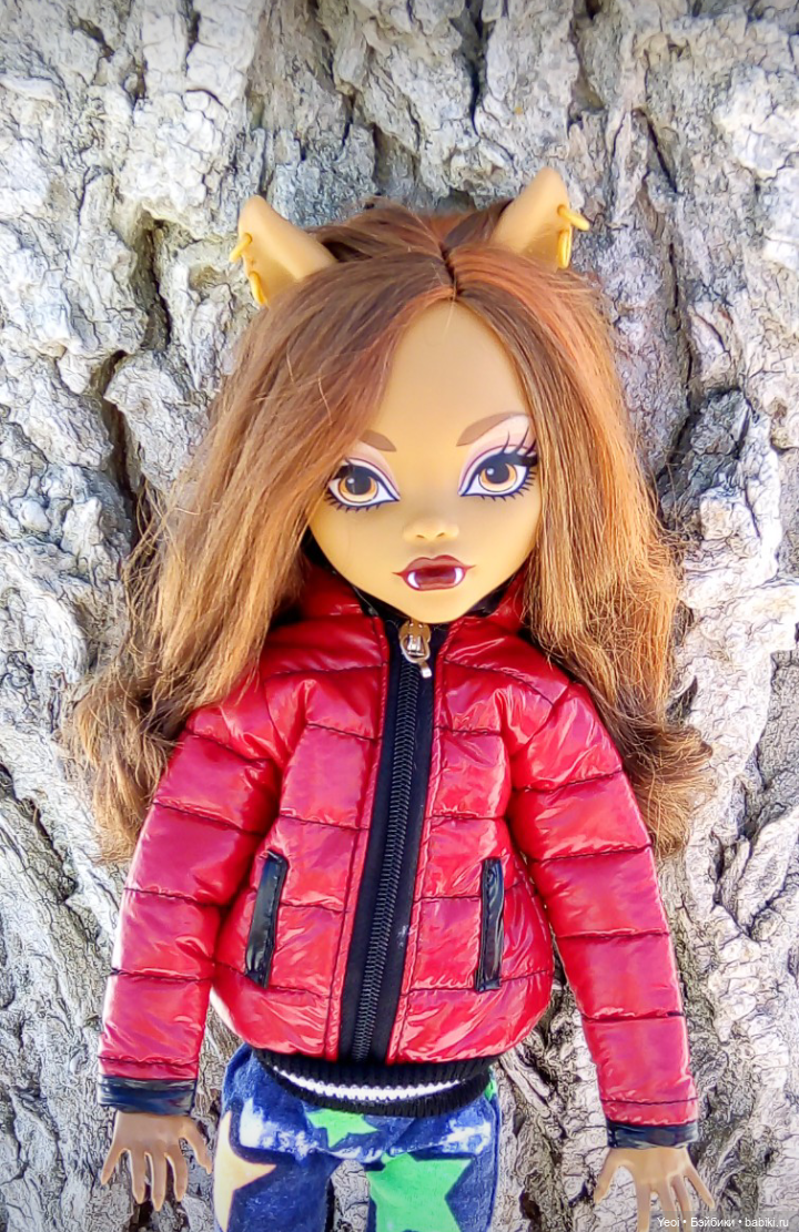 Монстер Хай, Клодин (кукла 42см) первый раз в парке (фото 6)