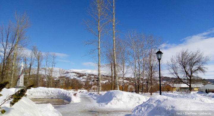 Монстер Хай, Клодин (кукла 42см) первый раз в парке (фото 8)