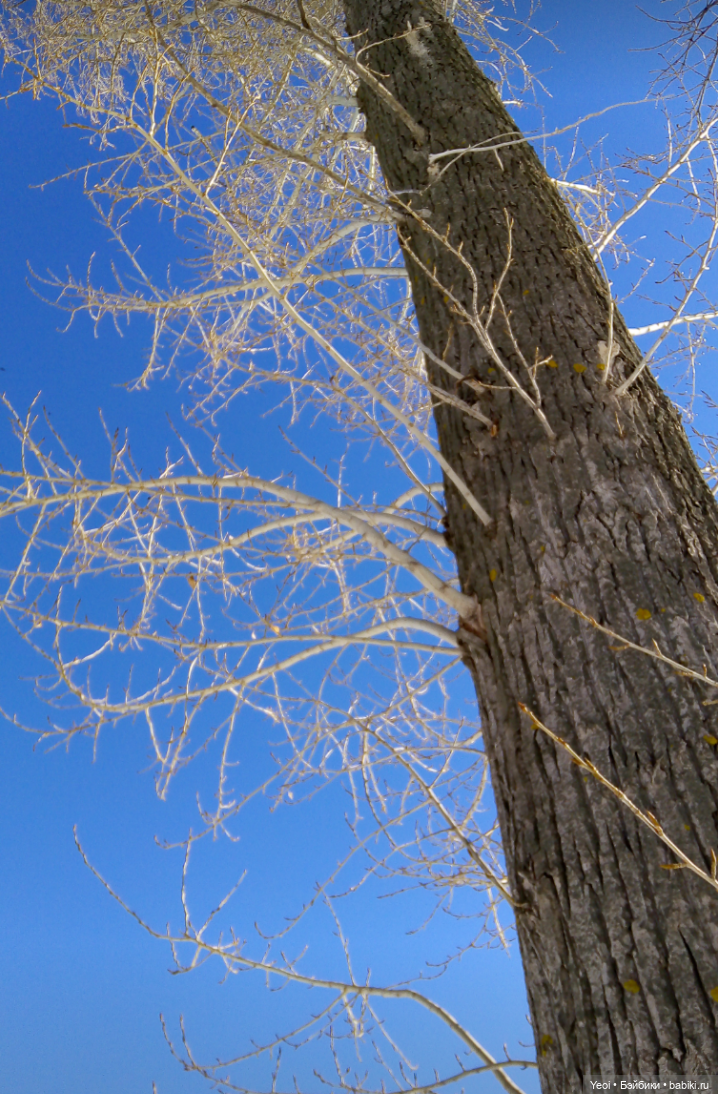 Монстер Хай, Клодин (кукла 42см) первый раз в парке