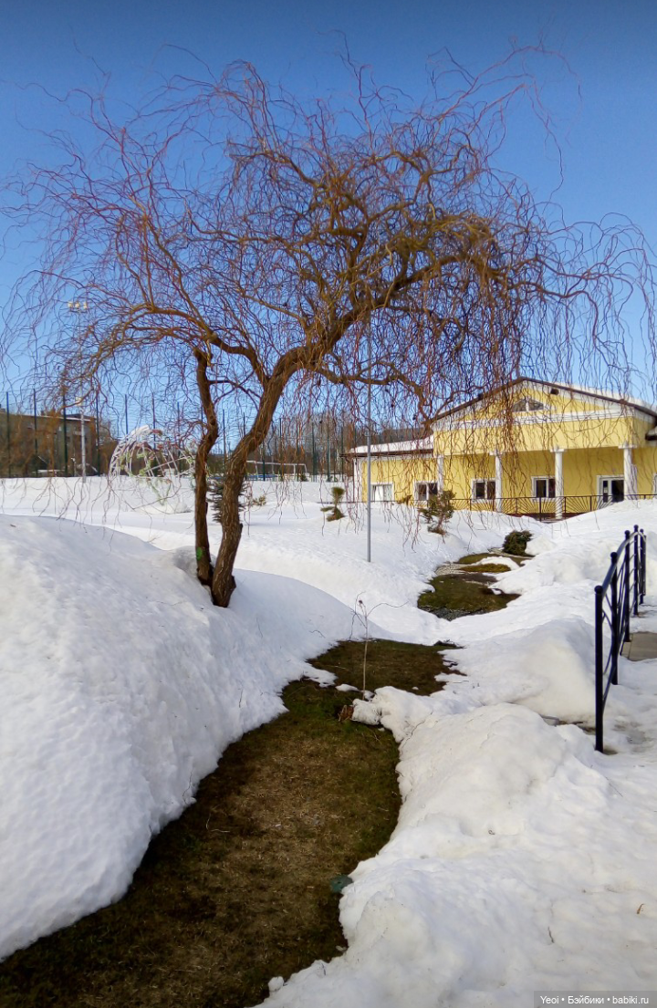 Монстер Хай, Клодин (кукла 42см) первый раз в парке (фото 2)
