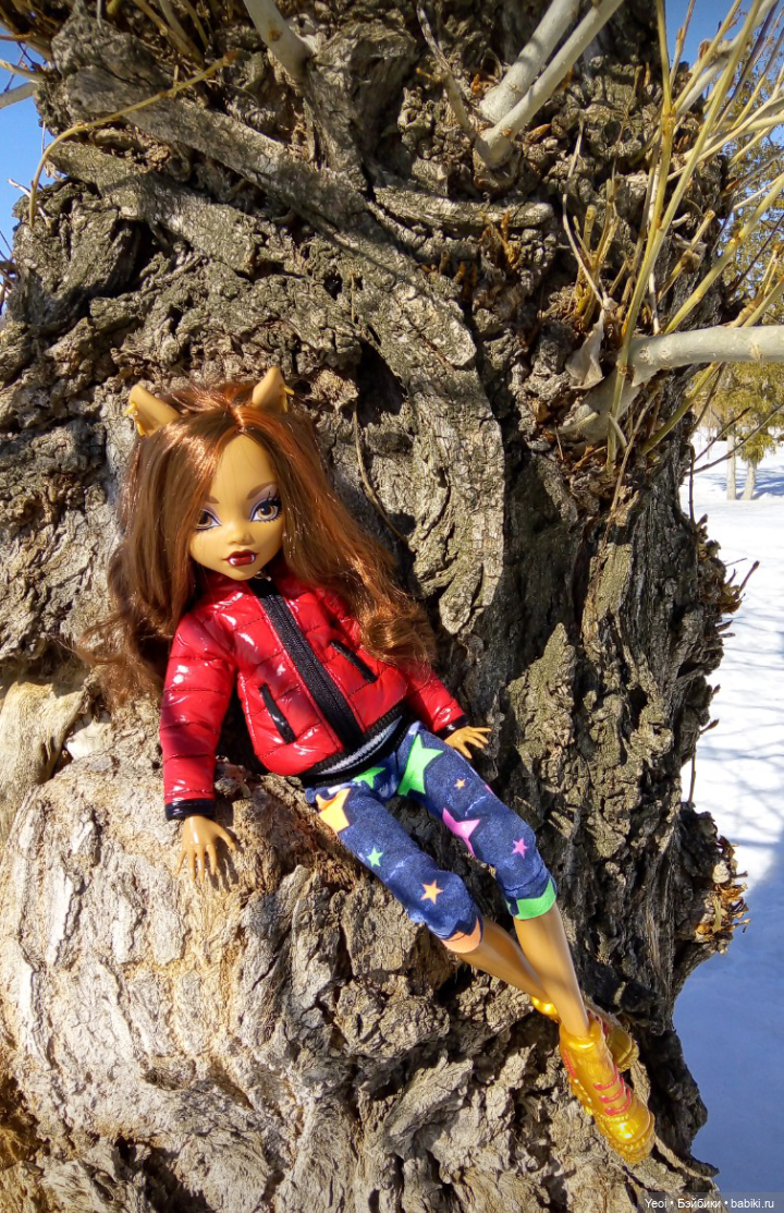 Монстер Хай, Клодин (кукла 42см) первый раз в парке
