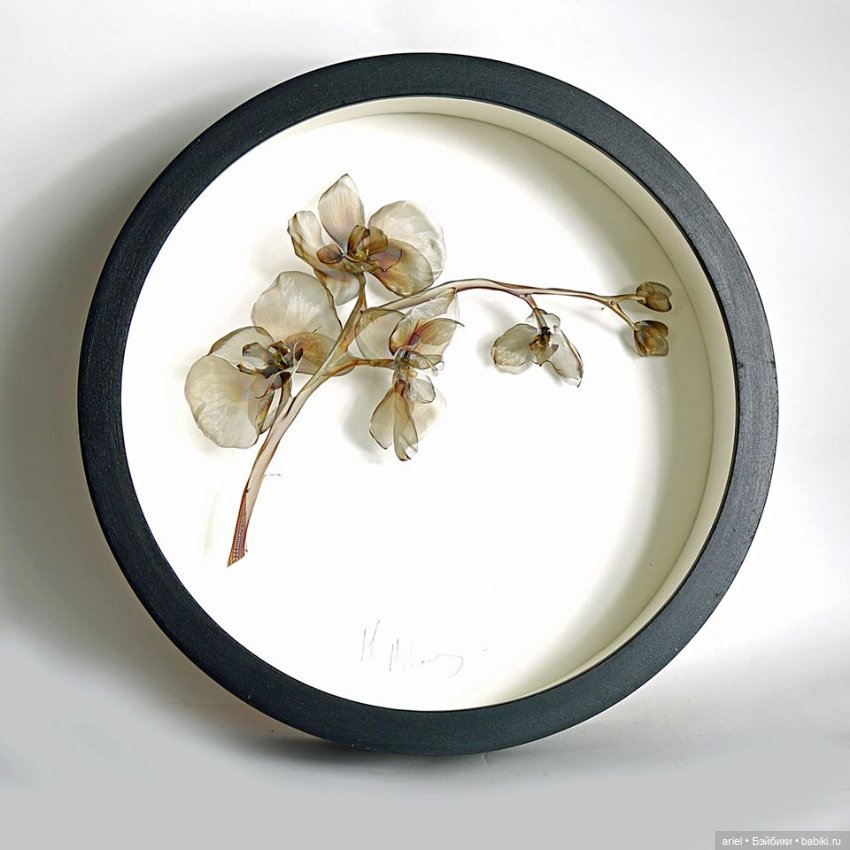 Невероятные металлические бабочки от Мишеля Маккинни