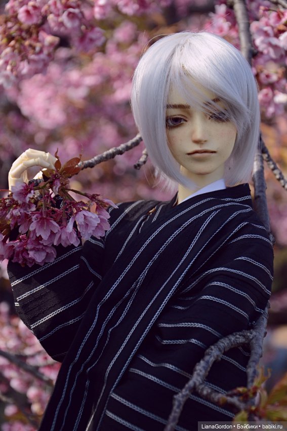 Умиротворенный Эдвард — Куклы Dollzone (Доллзон): BJD (БЖД) (фото 8)