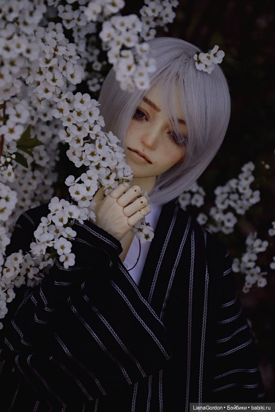 Умиротворенный Эдвард — Куклы Dollzone (Доллзон): BJD (БЖД) (фото 6)