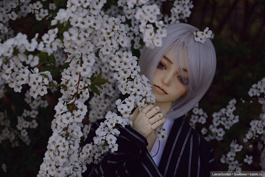 Умиротворенный Эдвард — Куклы Dollzone (Доллзон): BJD (БЖД) (фото 7)