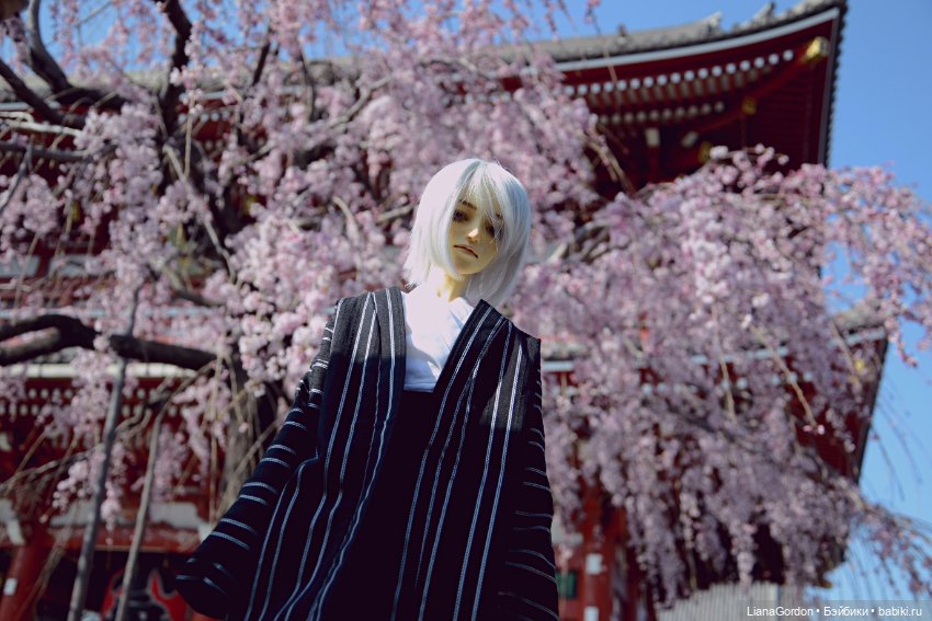 Умиротворенный Эдвард — Куклы Dollzone (Доллзон): BJD (БЖД) (фото 5)