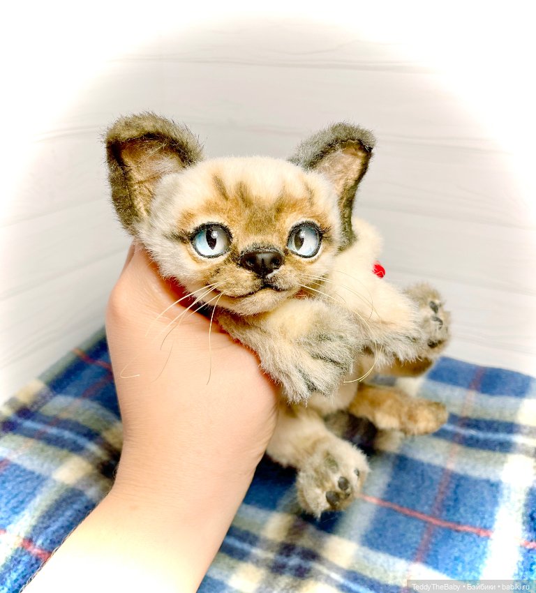 Сима - котёнок тедди в стиле натюр.🐱🥰💐 (фото 4)