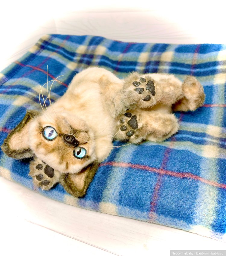 Сима - котёнок тедди в стиле натюр.🐱🥰💐 (фото 7)