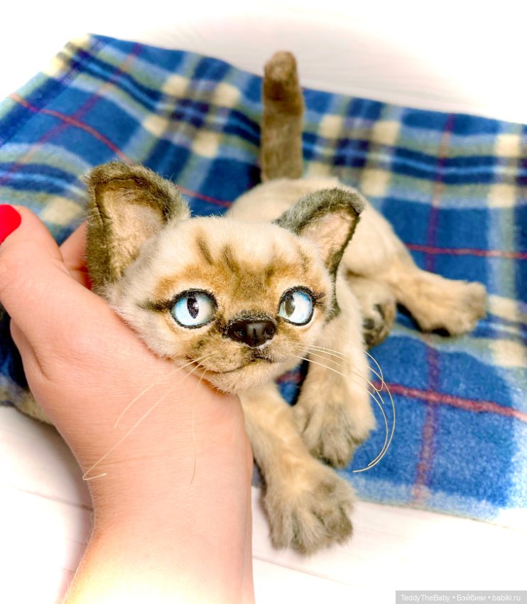Сима - котёнок тедди в стиле натюр.🐱🥰💐 (фото 8)