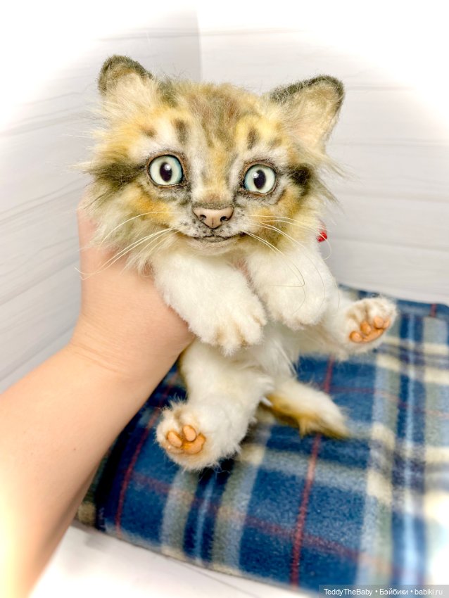Мася, котёнок тедди в стиле натюр 🐱 (фото 10)