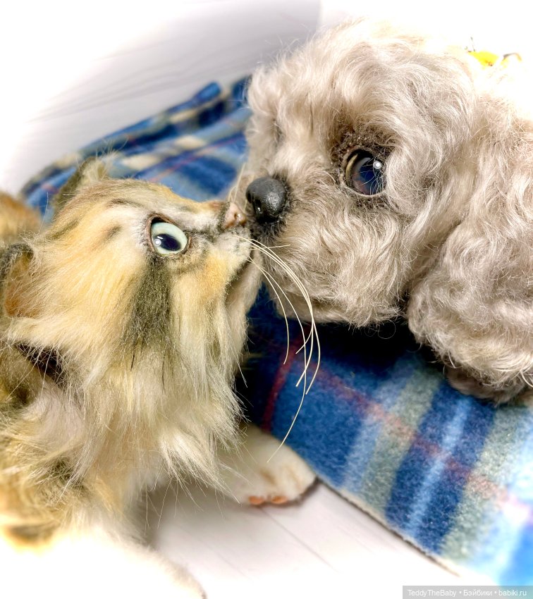 Мася, котёнок тедди в стиле натюр 🐱