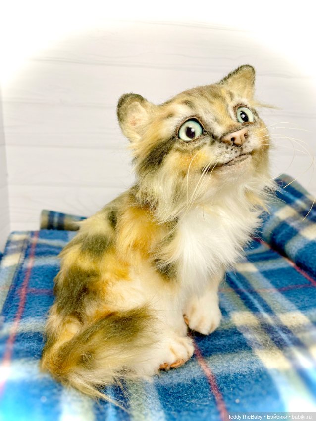 Мася, котёнок тедди в стиле натюр 🐱 (фото 9)