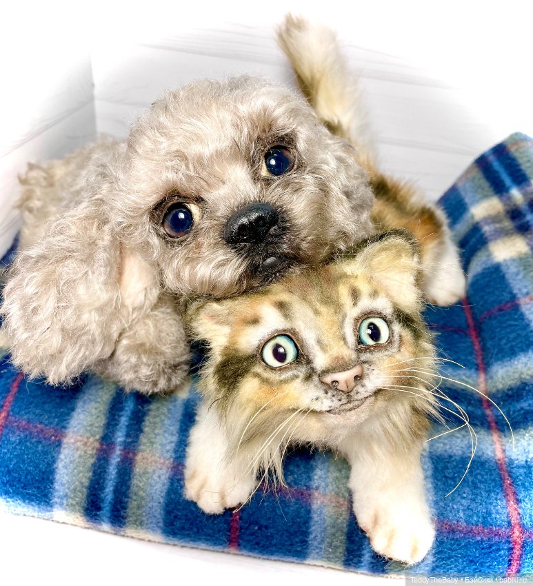 Мася, котёнок тедди в стиле натюр 🐱