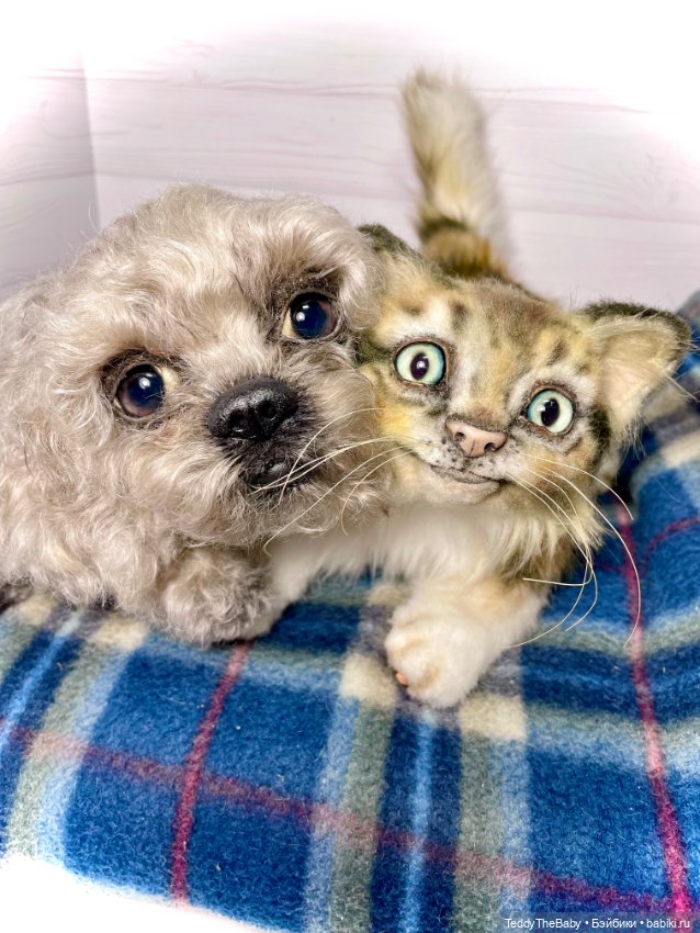 Мася, котёнок тедди в стиле натюр 🐱