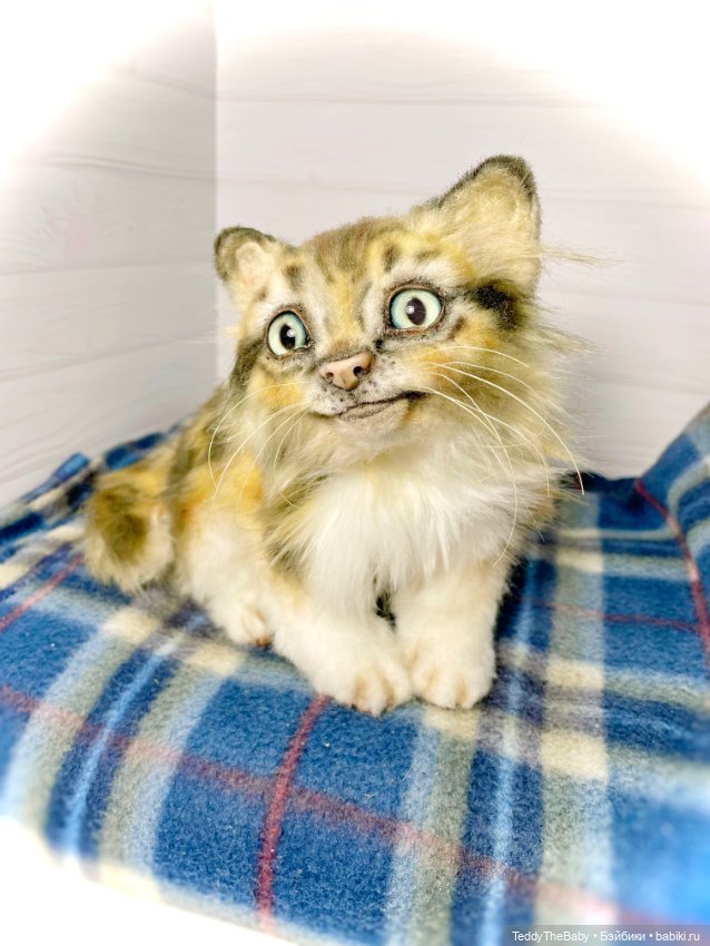 Мася, котёнок тедди в стиле натюр 🐱 (фото 8)