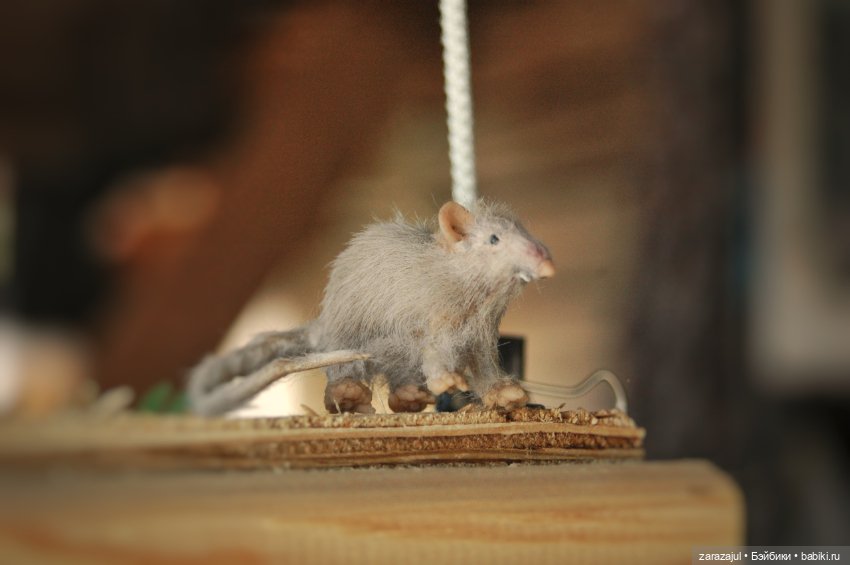 Фотосессия с крысиком — Текстильные игрушки и примитивы: кофейные (фото 2)