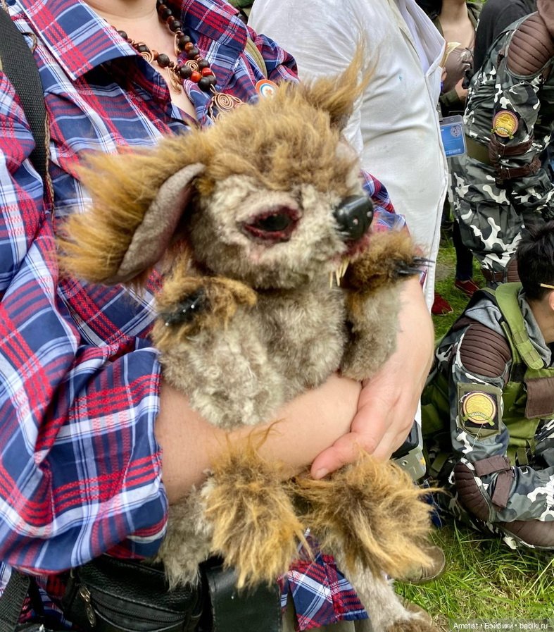 Монстры из S.T.A.L.K.E.R., часть 2: Вечно Еле Живой псевдотушкан Барсик (фото 3)