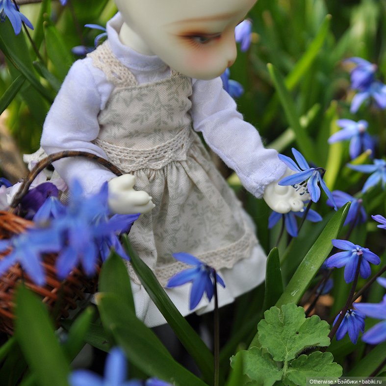Котенька собирает цветы — Куклы Pipos (Пипос): BJD (БЖД) (фото 4)