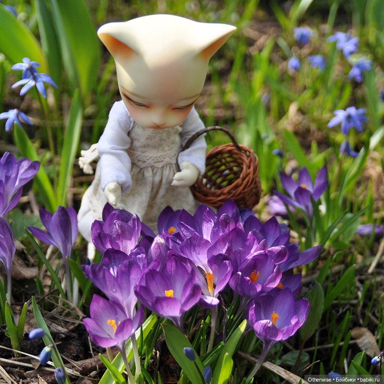 Котенька собирает цветы — Куклы Pipos (Пипос): BJD (БЖД) (фото 2)
