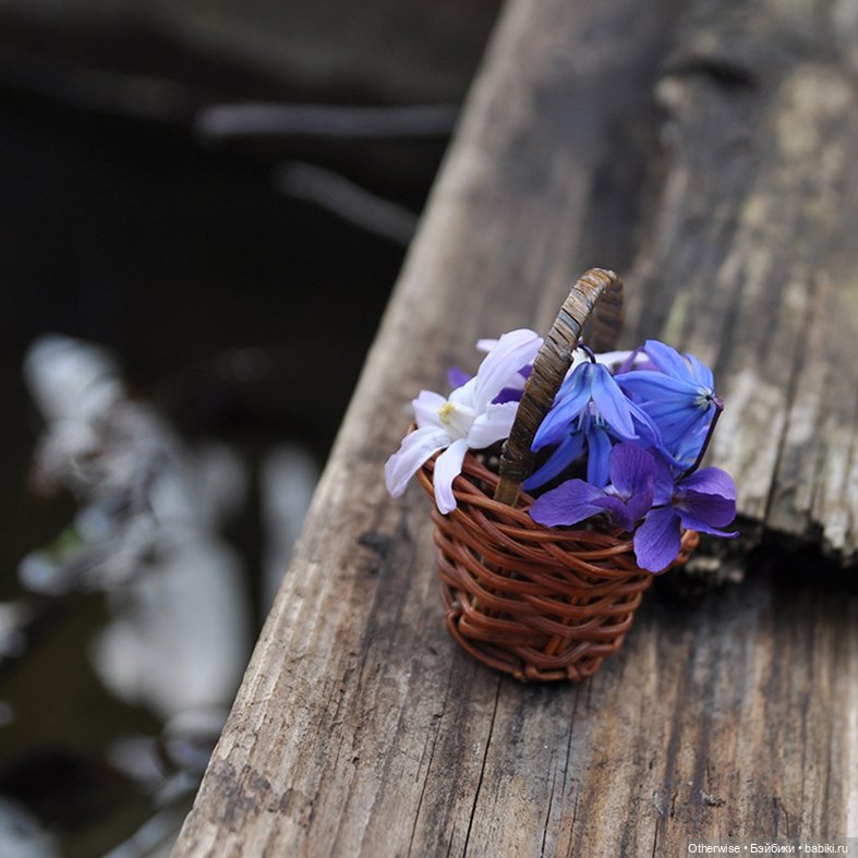 Котенька собирает цветы — Куклы Pipos (Пипос): BJD (БЖД)