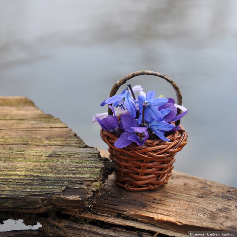 Котенька собирает цветы — Куклы Pipos (Пипос): BJD (БЖД) (фото 9)