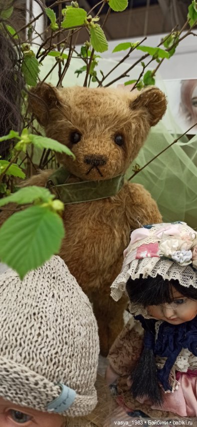 Мои первые выставки — Домашние фото авторских игрушек: Тедди
