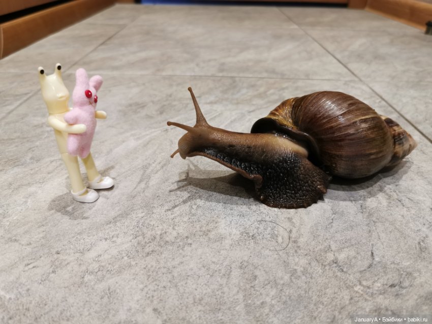 Новая фигурка в семействе Wonder frog