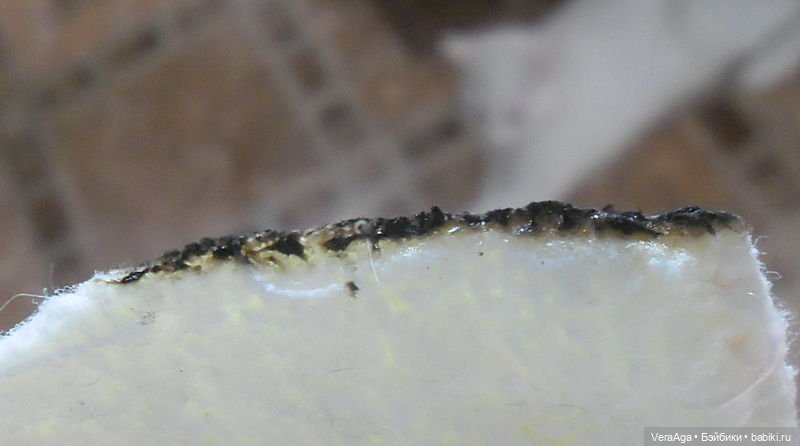 Плюш это, или не плюш? Вот в чём вопрос (фото 4)