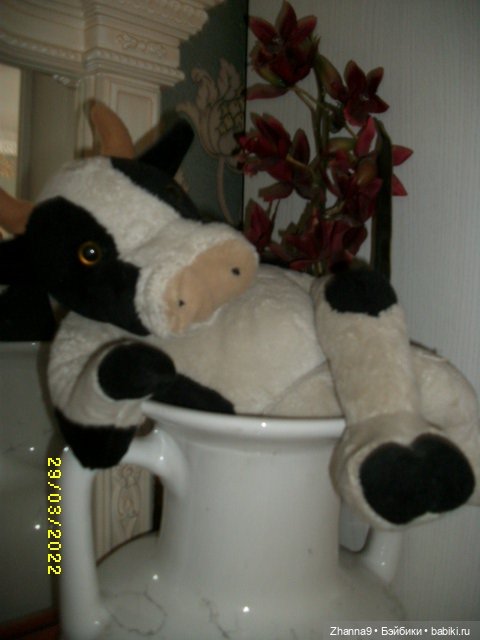 Такие разные куклы — Домашние коллекции кукол: фото собраний