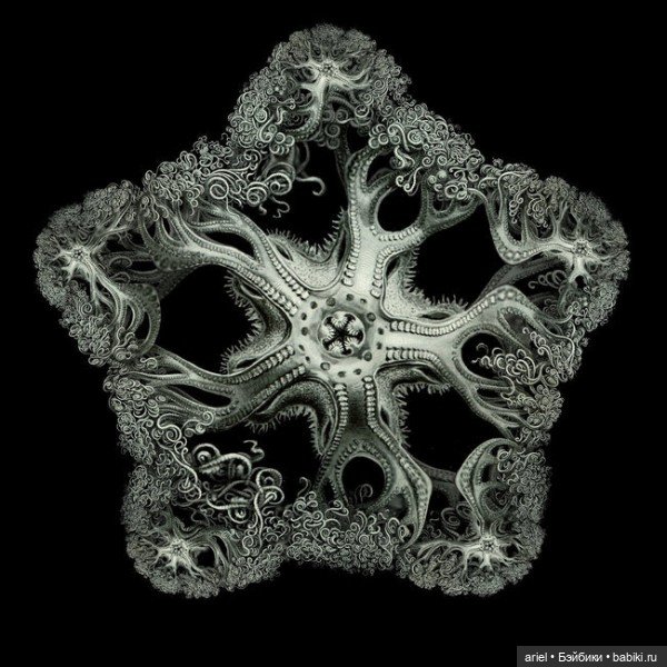 Фрактальный художник Том Беддард (Tom Beddard) (фото 7)