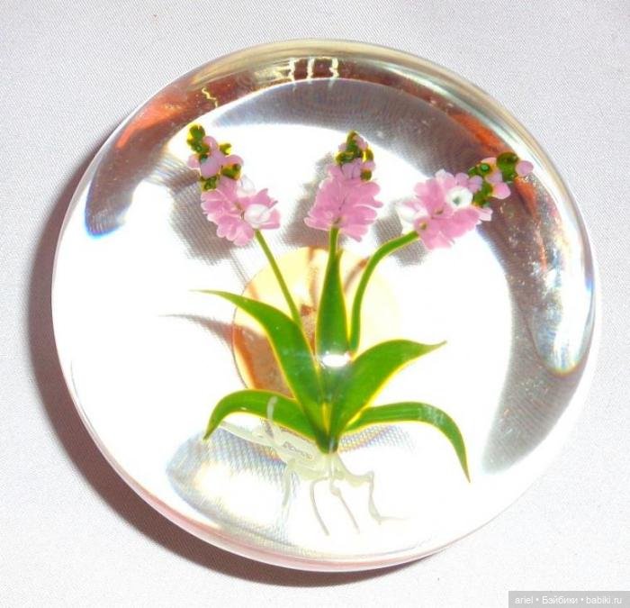 Потрясающие художественные стеклянные пресс-папье Пола Стэнкарда