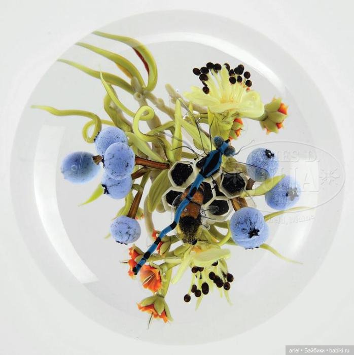 Потрясающие художественные стеклянные пресс-папье Пола Стэнкарда