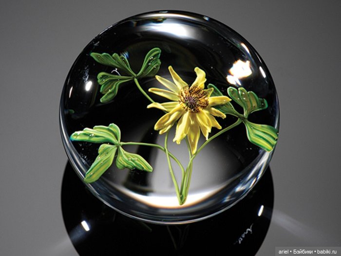 Потрясающие художественные стеклянные пресс-папье Пола Стэнкарда (фото 6)