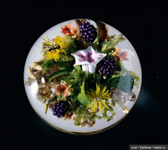 Потрясающие художественные стеклянные пресс-папье Пола Стэнкарда