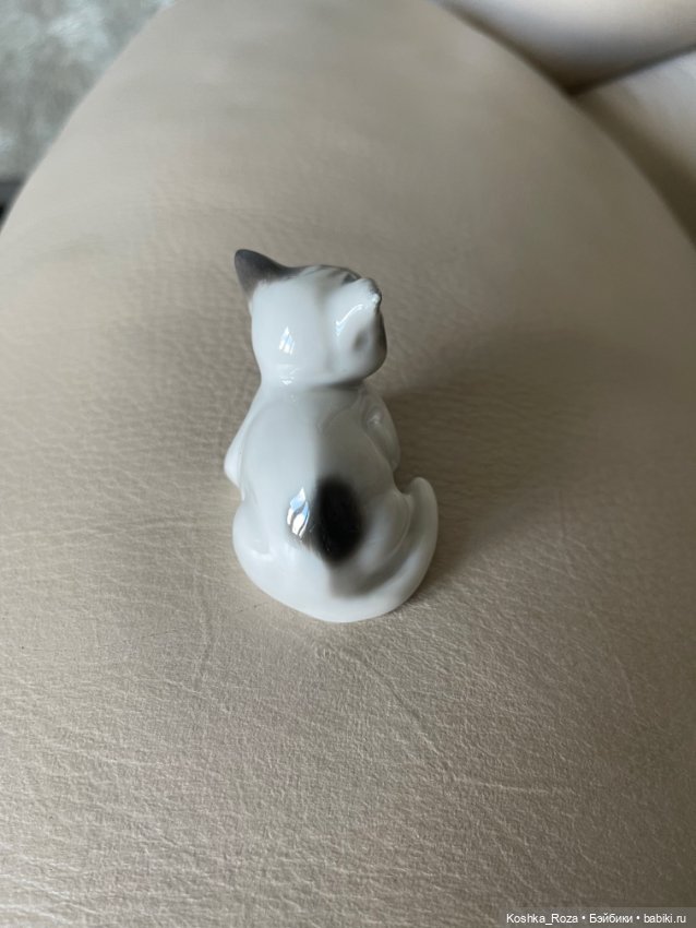 Маша и её кошачий прайд (часть 3) (фото 7)