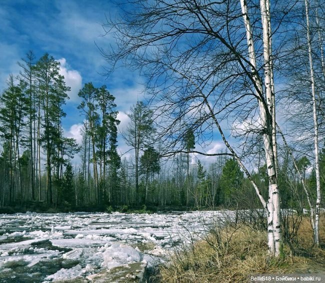 Ранняя весна — Интересное обо всем: поздравления (фото 5)