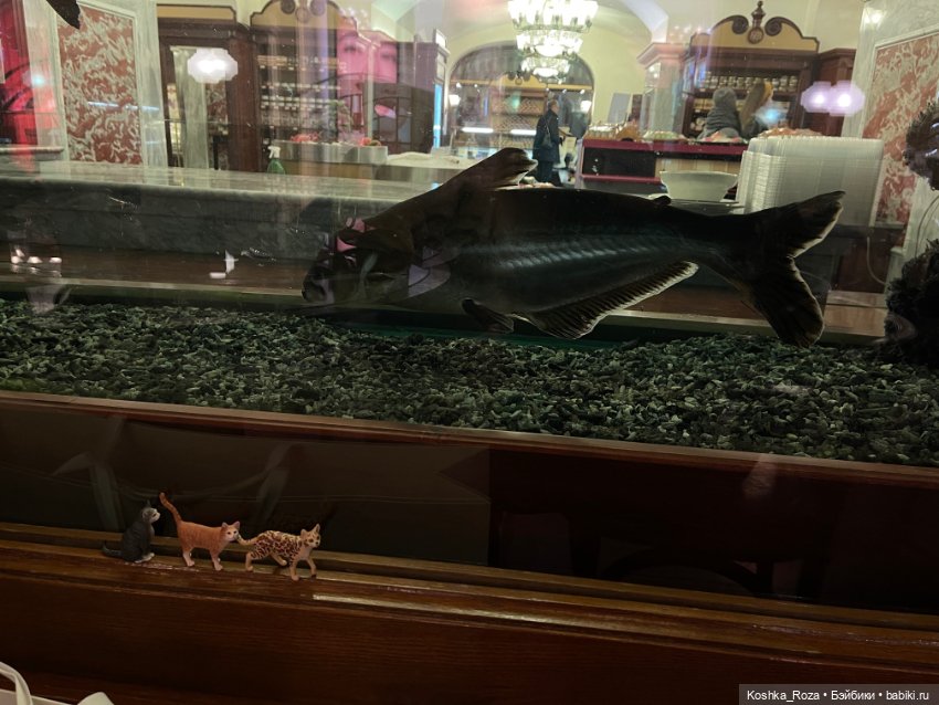 Немного о талисманах — Интересные игрушки и фигурки (разное): редкие (фото 2)