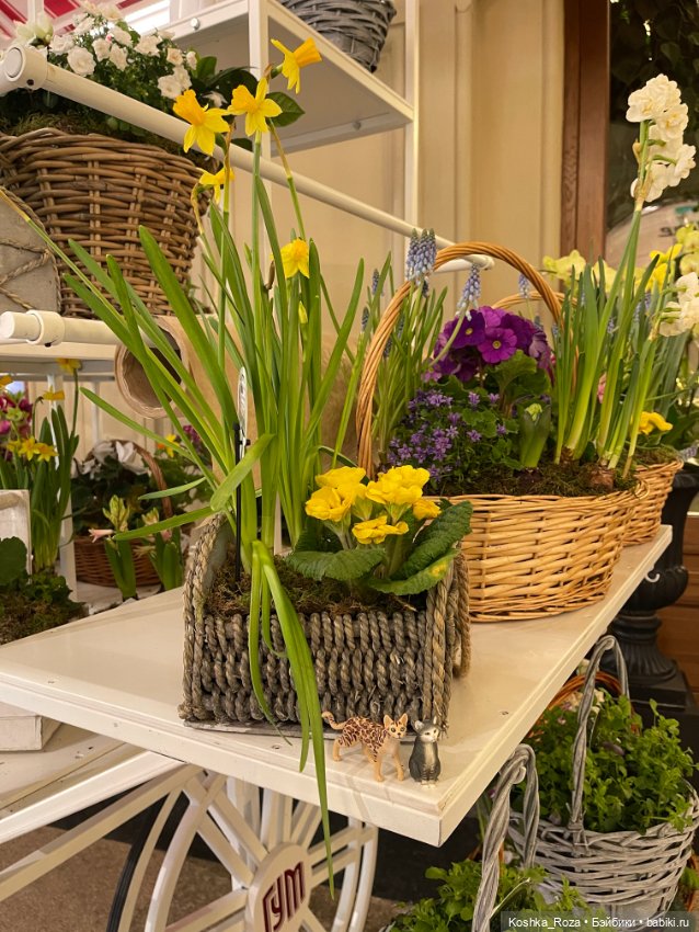 Немного о талисманах — Интересные игрушки и фигурки (разное): редкие (фото 3)