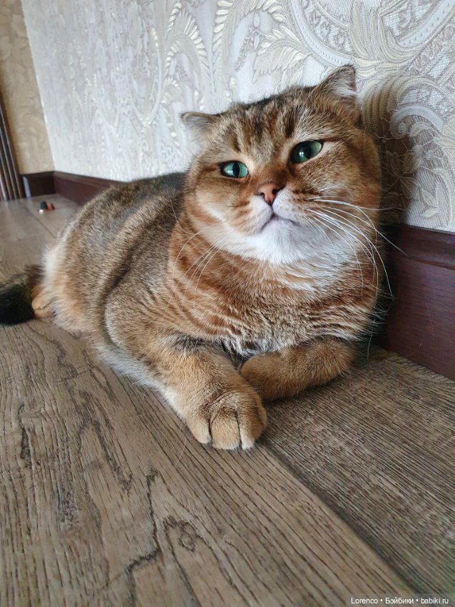 С днём смеха — Винтажные куклы ГДР (Немки): Бигги (фото 7)