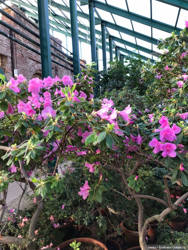 Благая весть, Почта России рулит