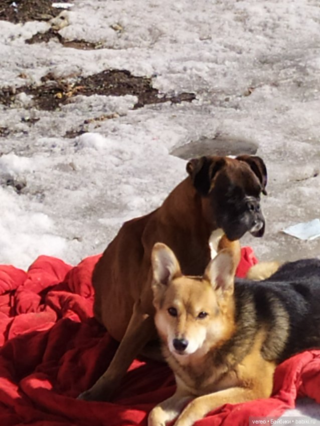 Благая весть, Почта России рулит (фото 10)